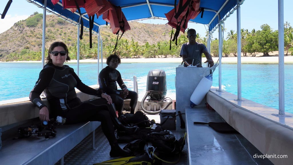 Are There Dive Shops in Nelson Bay That Cater to Beginners