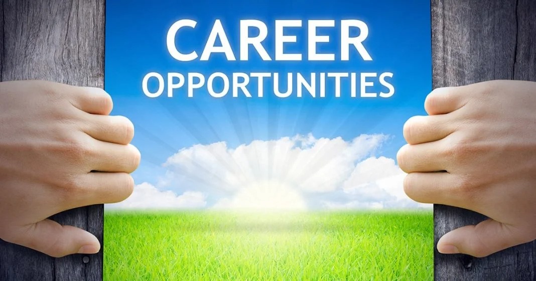 Best Career Options