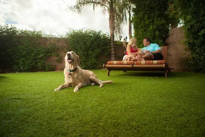 Why Pet Friendly Synthetic Turf Is the Best Choice for Your Furry Friend
