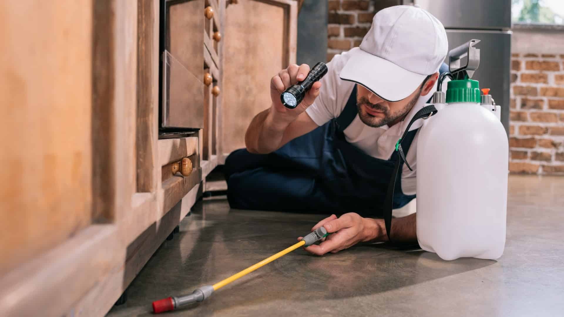 Best Pest Control Vancouver Solutions for Effective and Reliable Results