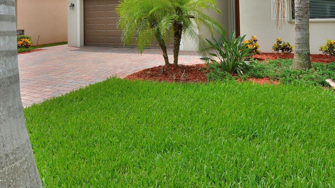 Landscaper Tips for Maintaining a Healthy Lawn Year-Round