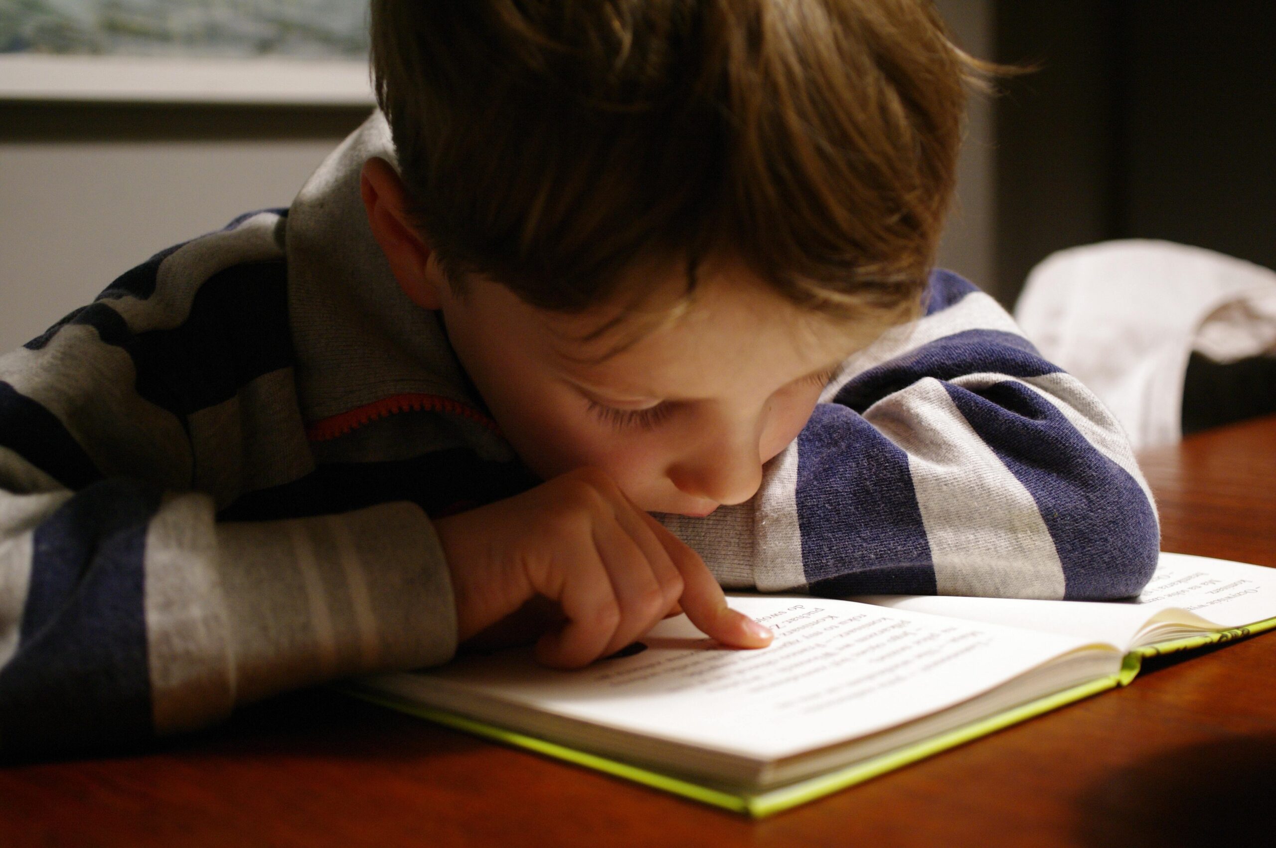 The Pros and Cons of Umbrella Schools for Homeschool Education