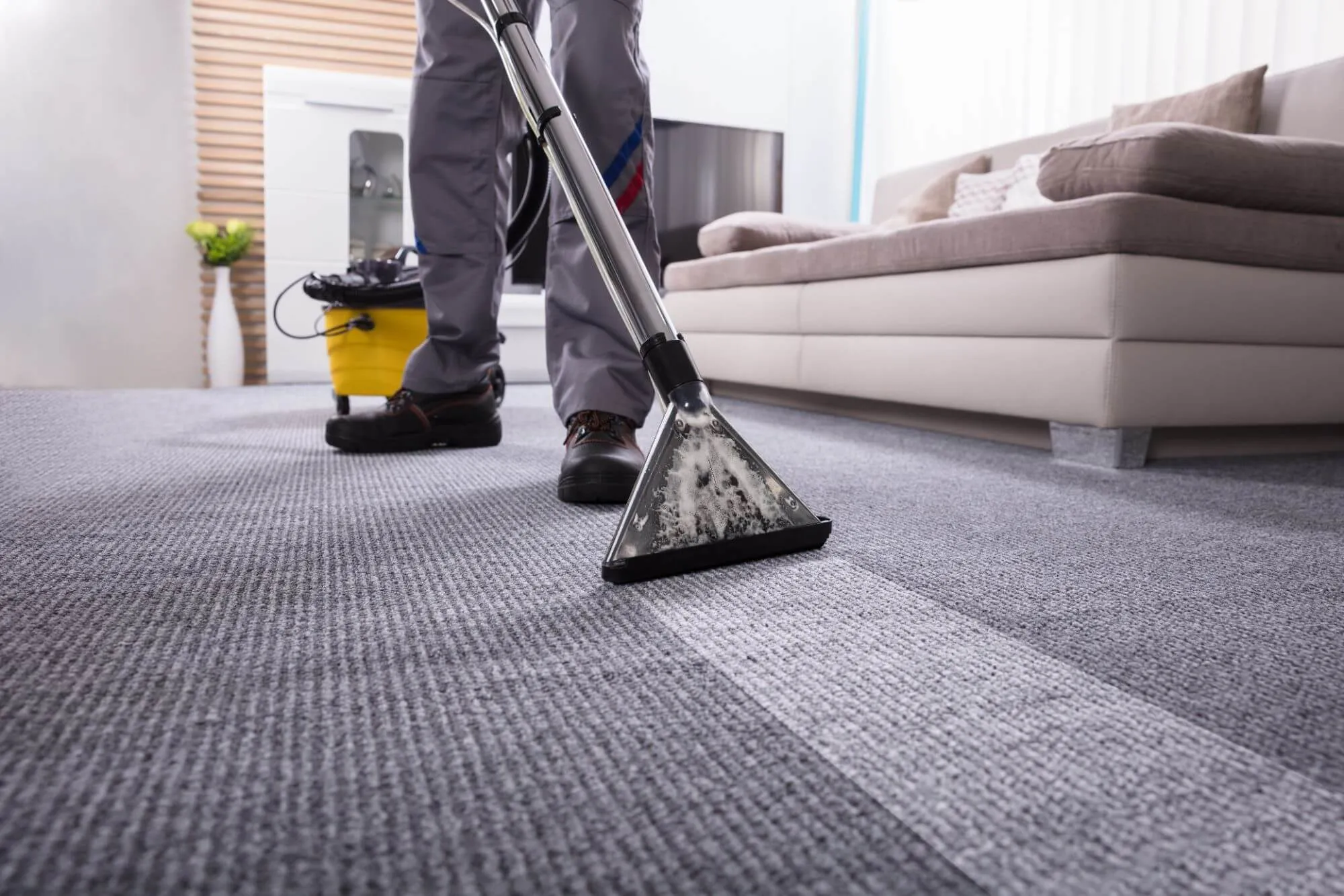 Why Professional House Cleaning Services Are Essential for Fort Collins Homeowners