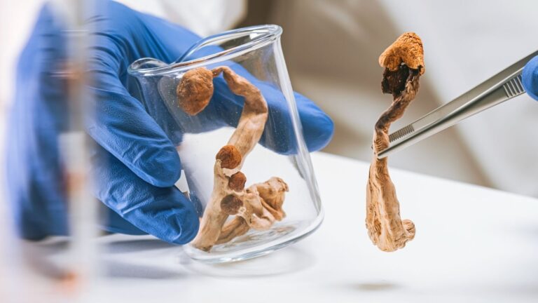 Adverse Effects of Psilocybin-Assisted Therapy