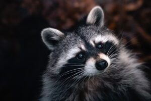 From Pests to Preservation