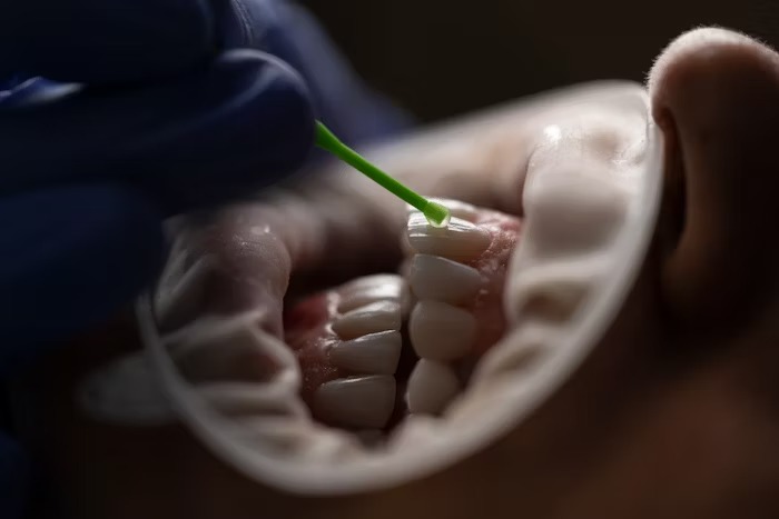 The Unexpected Link Between Oral Health and Longevity