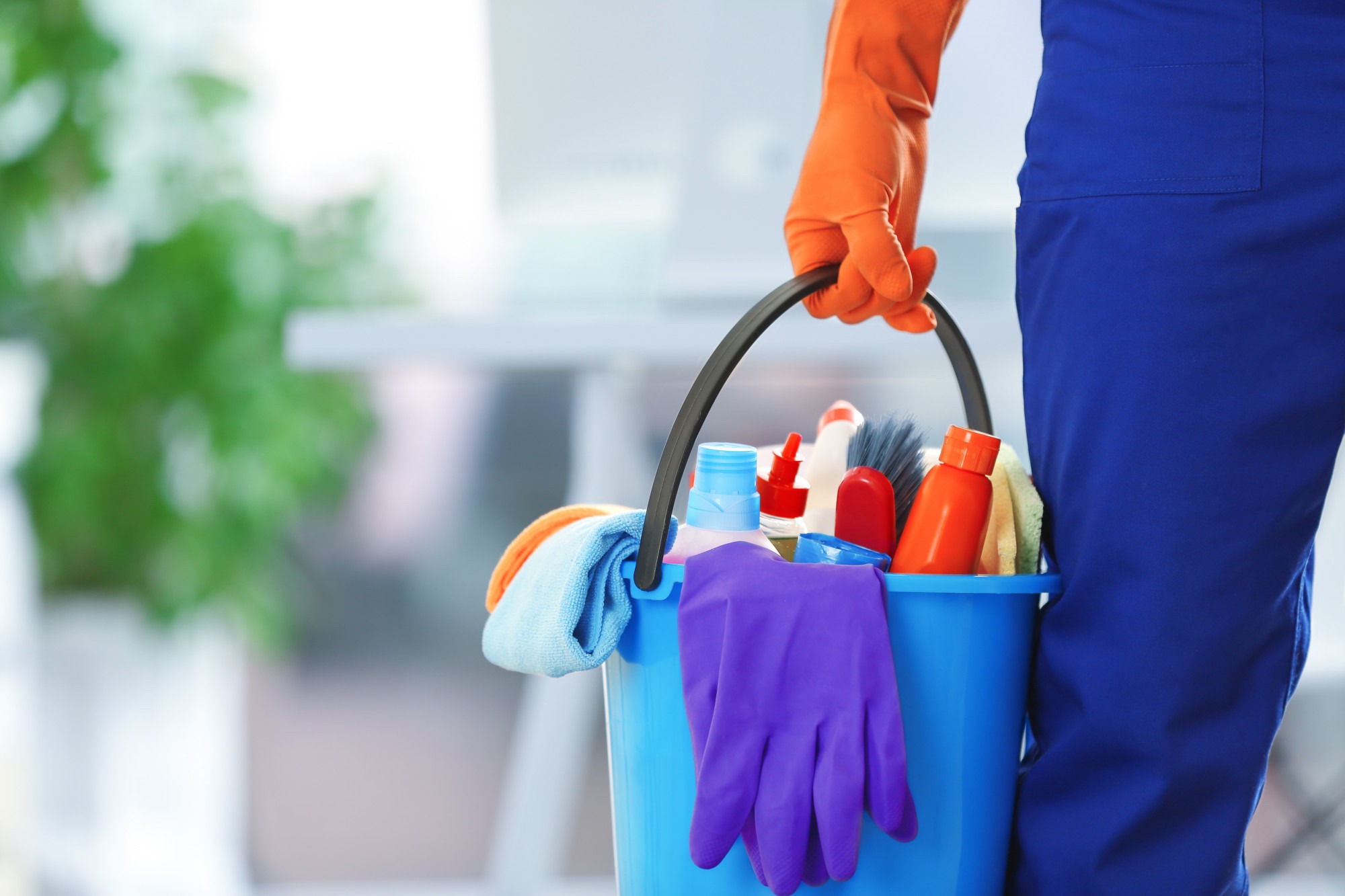 House Cleaning Services