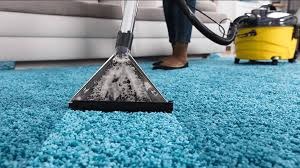 Carpet Maintenance