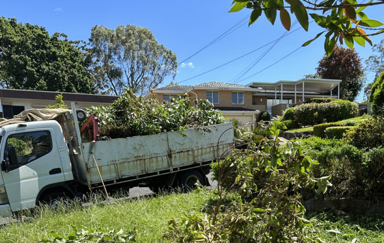 5 Professional Ways to Recycle Green Waste and Turn It into Valuable Resources