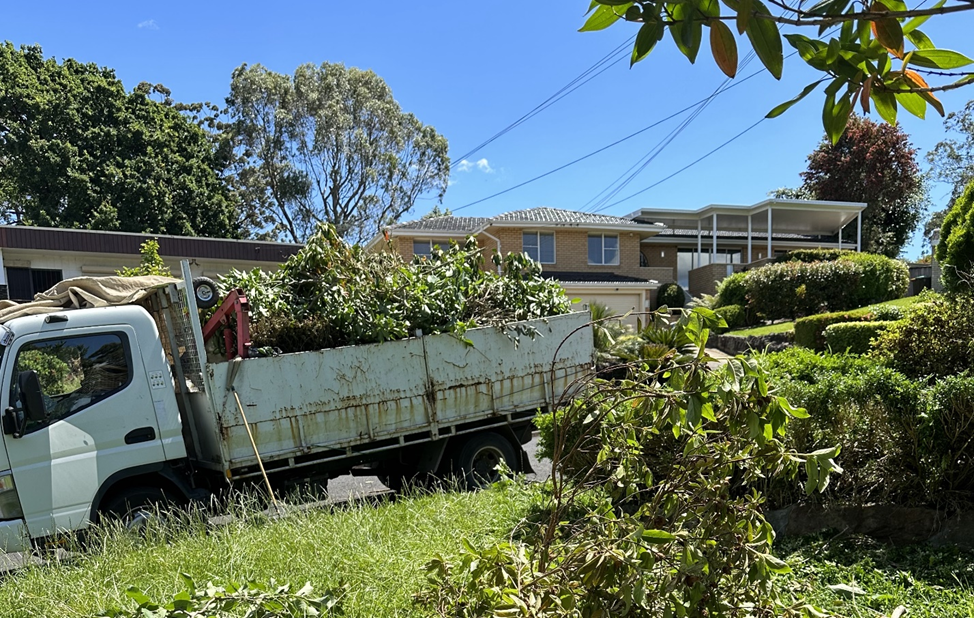 5 Professional Ways to Recycle Green Waste and Turn It into Valuable Resources