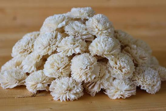 Wholesale Carnations